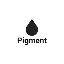Image for Pigment