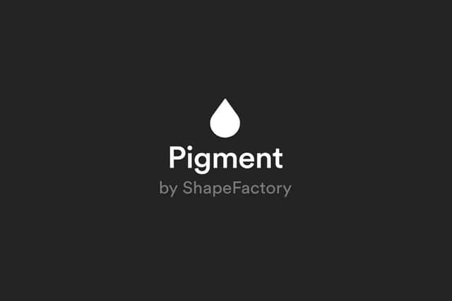 Image for Pigment